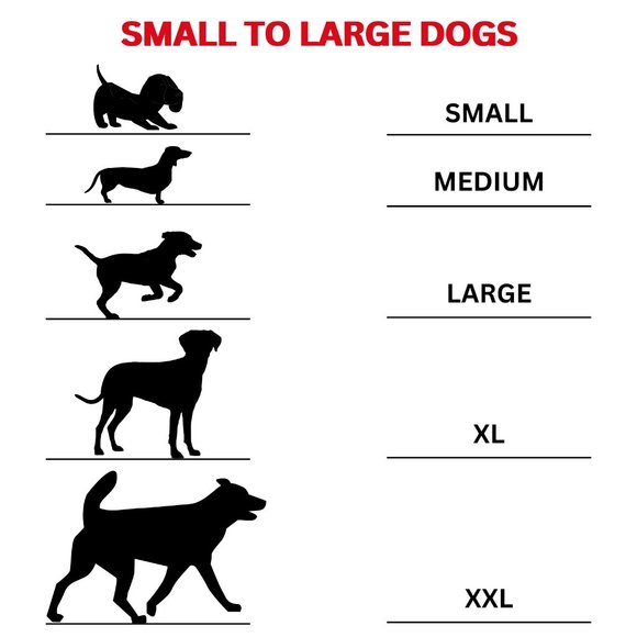 GENUINE LEATHER Dog Collar with Heavy Duty Adjustable Padded Collar - Picture 6 of 7